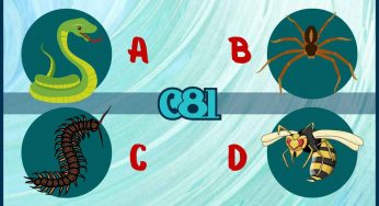 Test degli Insetti | Da quali persone devi tenerti assolutamente lontano?