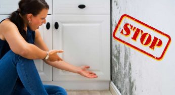 Stop alla muffa in bagno: la soluzione naturale e a costo zero