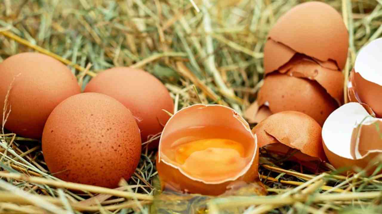 uova buone senza aprirle