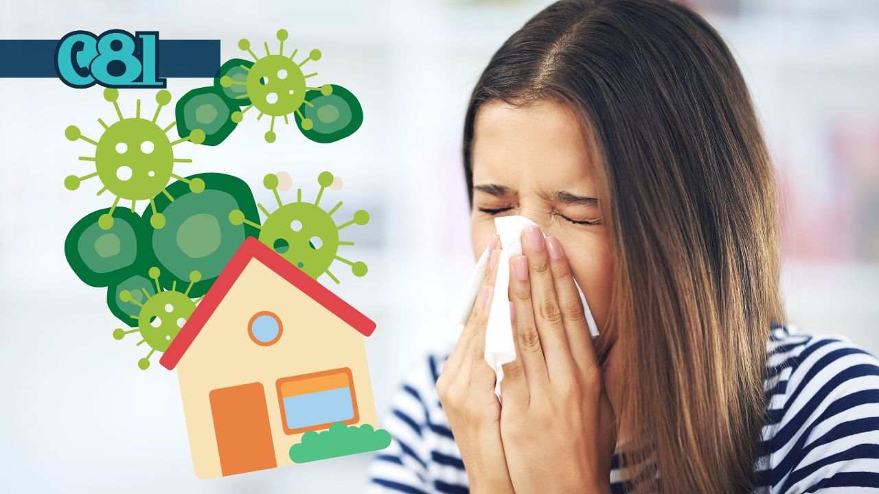 allergia muffa casa rimedi