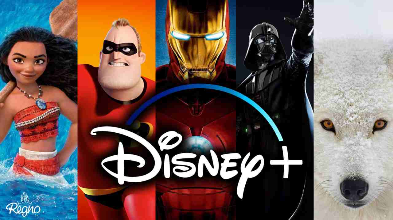 Abbonamento pubblicità Disney+ - www.081.it