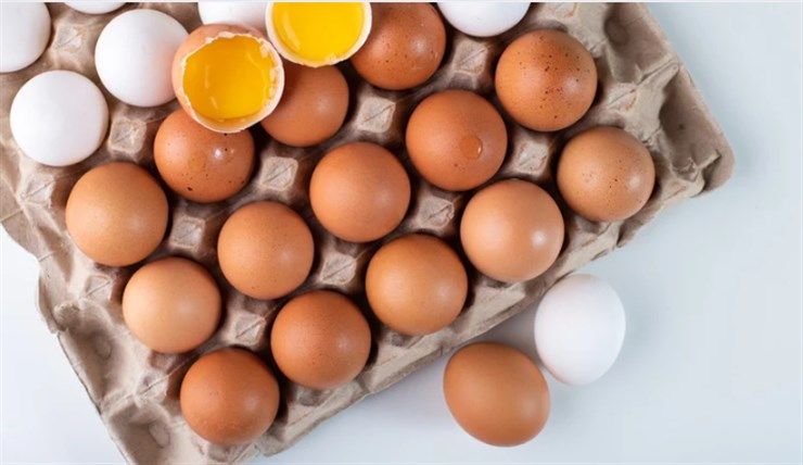quante uova colesterolo