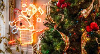 Albero di Natale, le tendenze del 2022: luci e addobbi per tutti i gusti