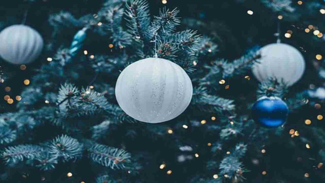 Albero di Natale luci (pixabay) 081.it 011222