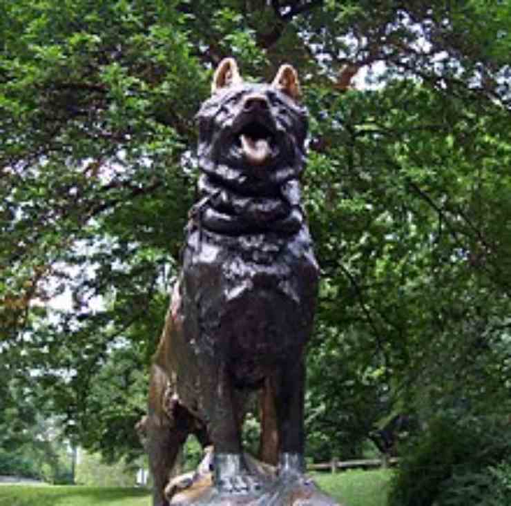 Statua di Balto Central Park NYC (Fonte: Wikipedia)) 081.it 121222