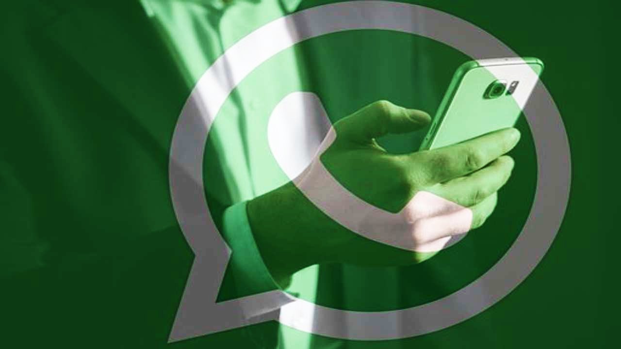 WhatsApp aggiornamento - www.081.it