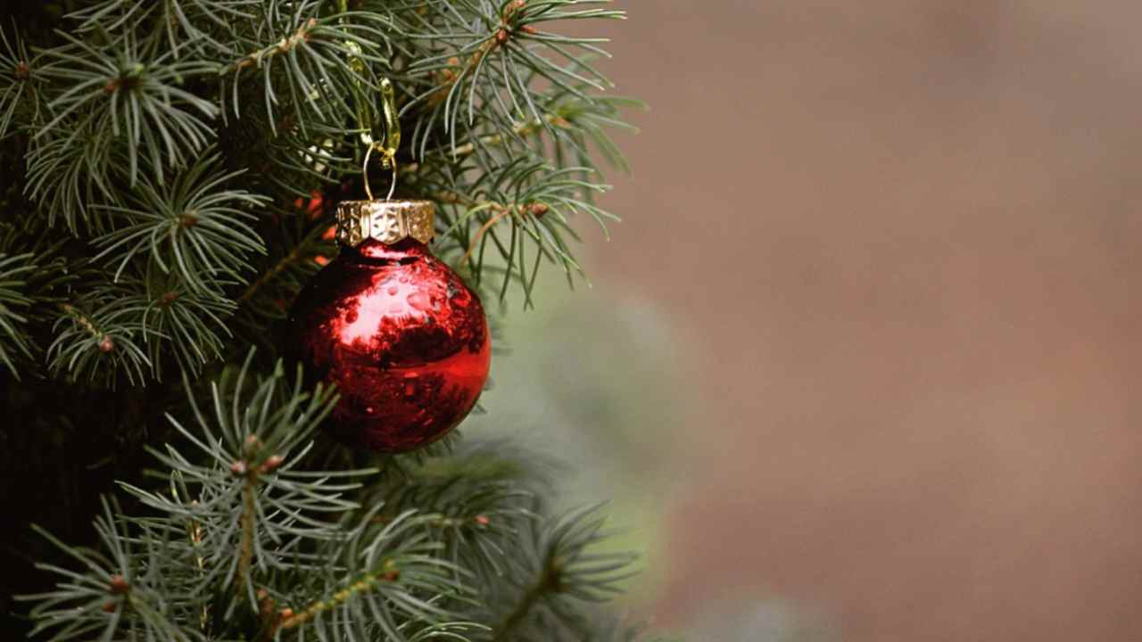 Tradizione albero di Natale - www.081.it